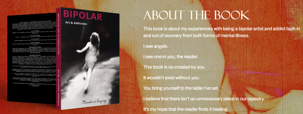 Bipolar Disorder Book