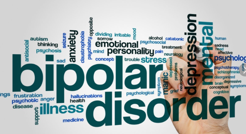 Bipolar Disorder Memoir Book