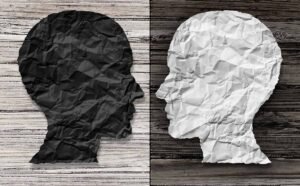 Bipolar Disorder Memoir Book