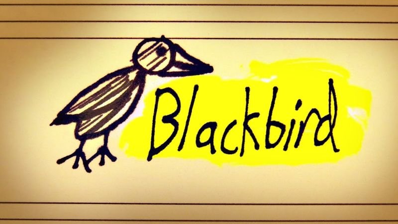 book blackbird